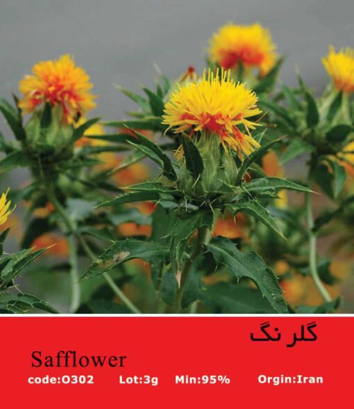 بذر گل گلرنگ Safflower