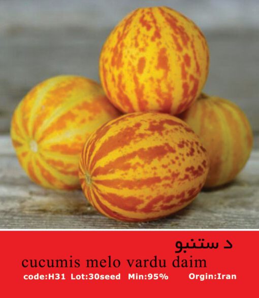 بذر میوه دستنبو Cucumis Melo Vardu Daim