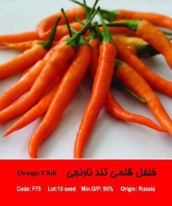 بذر فلفل قلمی تند نارنجی Orange Chili