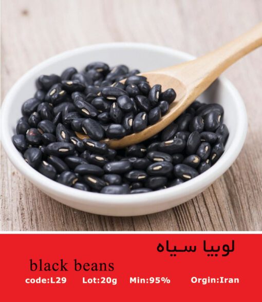 بذر لوبیا سیاه black beans