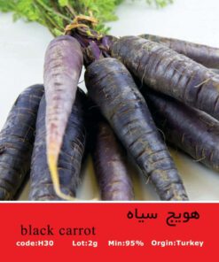 بذر هویج سیاه Black Carrot