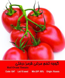 بذر گوجه تخم مرغی قرمز درختی Red Ovun Tomato