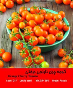بذر گوجه چری نارنجی درختی Orange Cherry Tomato