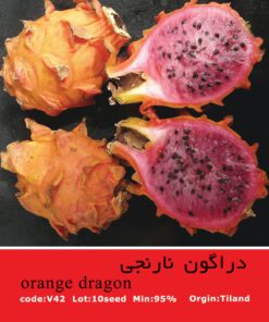 بذر میوه دراگون نارنجی