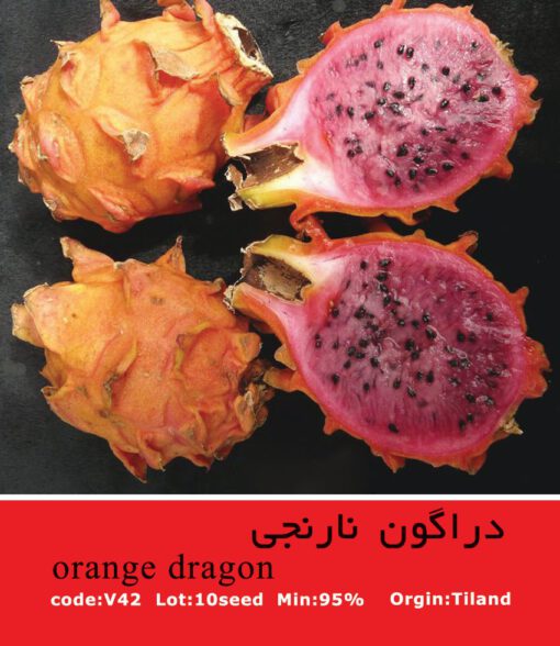 بذر میوه دراگون نارنجی