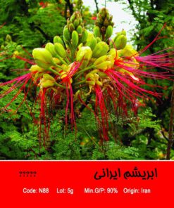 بذر درخت ابریشم ایرانی