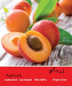 بذر درخت زردآلو Apricot