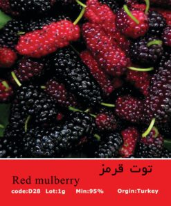 بذر درخت توت قرمز Red Mulberry