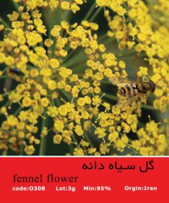 بذر گل سیاه دانه Fennel Flower