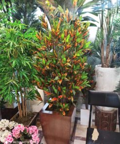 درختچه مصنوعی با بالاترین کیفیت به صورت کلی و جزئی فروش گل و گیاه