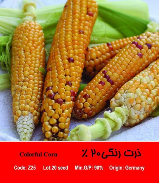 بذر ذرت رنگی 20 درصد Colorful Corn