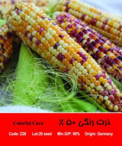 بذر ذرت رنگی 50 درصد Colorful Corn