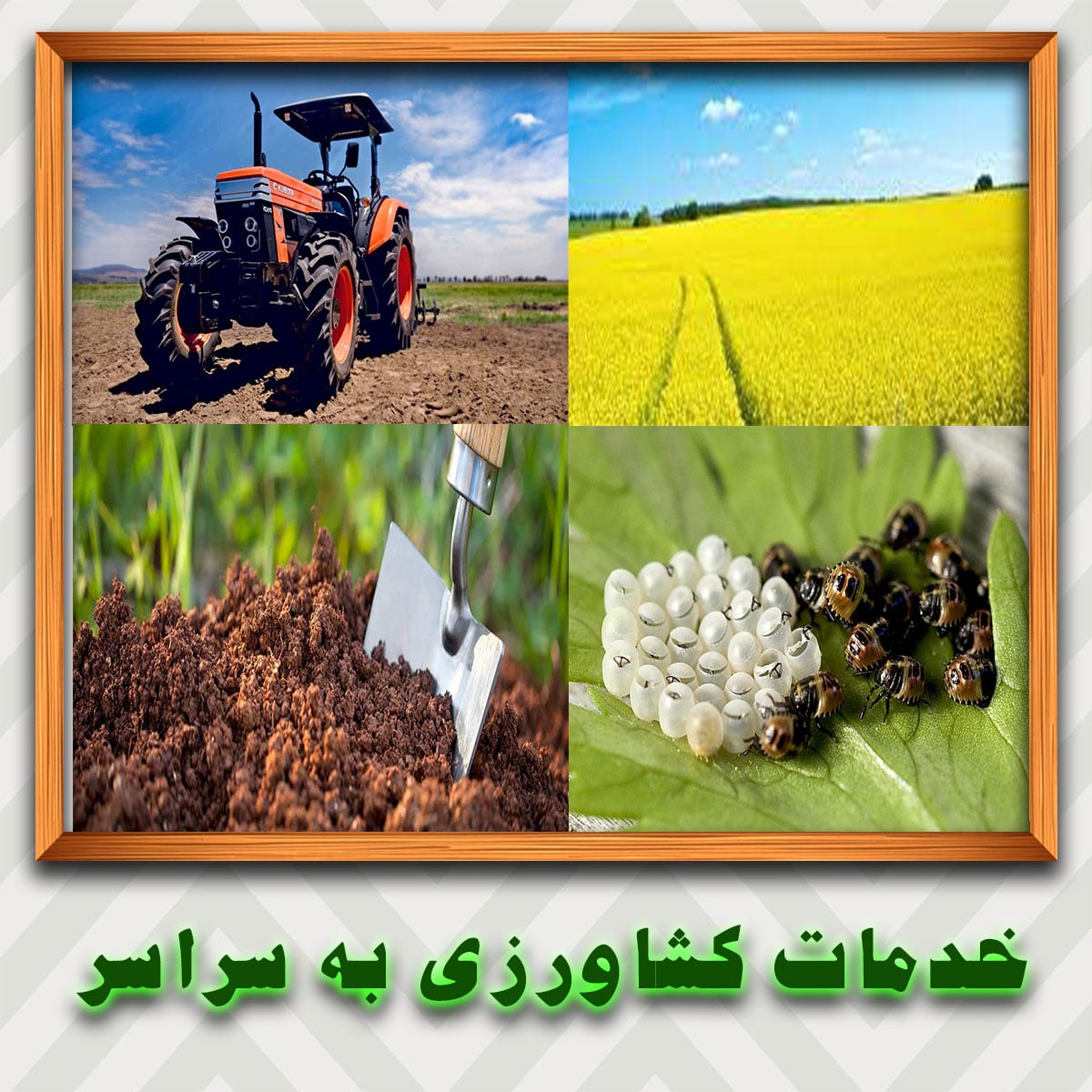 عرضه-خدمات-کشاورزی-به-سراسر-نقاط-ایران-به-صورت-اینترنتی
