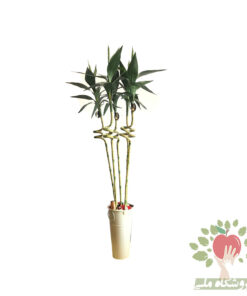 بامبو مصنوعی لاکی 5 شاخه با کیفیت عالی ارسال به سراسر ایران 5 شاخه بامبو