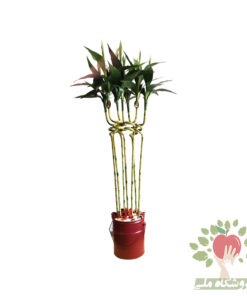 بامبو مصنوعی 7 شاخه مونتاژ و دیزاین شده در گلدان فلزی با قیمت مناسب