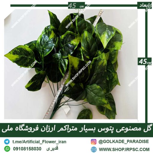 گل مصنوعی پتوس ابلق