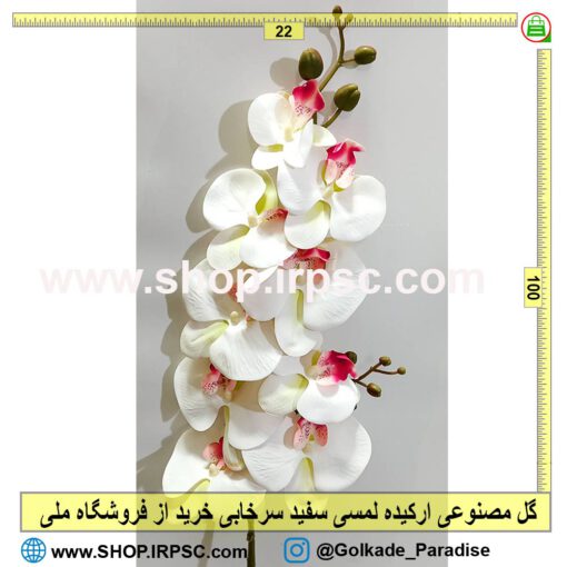 گل مصنوعی ارکیده سفید سرخابی | گل ارکیده لمسی سرخابی سفید
