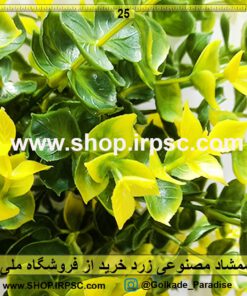 شمشاد مصنوعی زرد و سبز مشخصات و قیمت