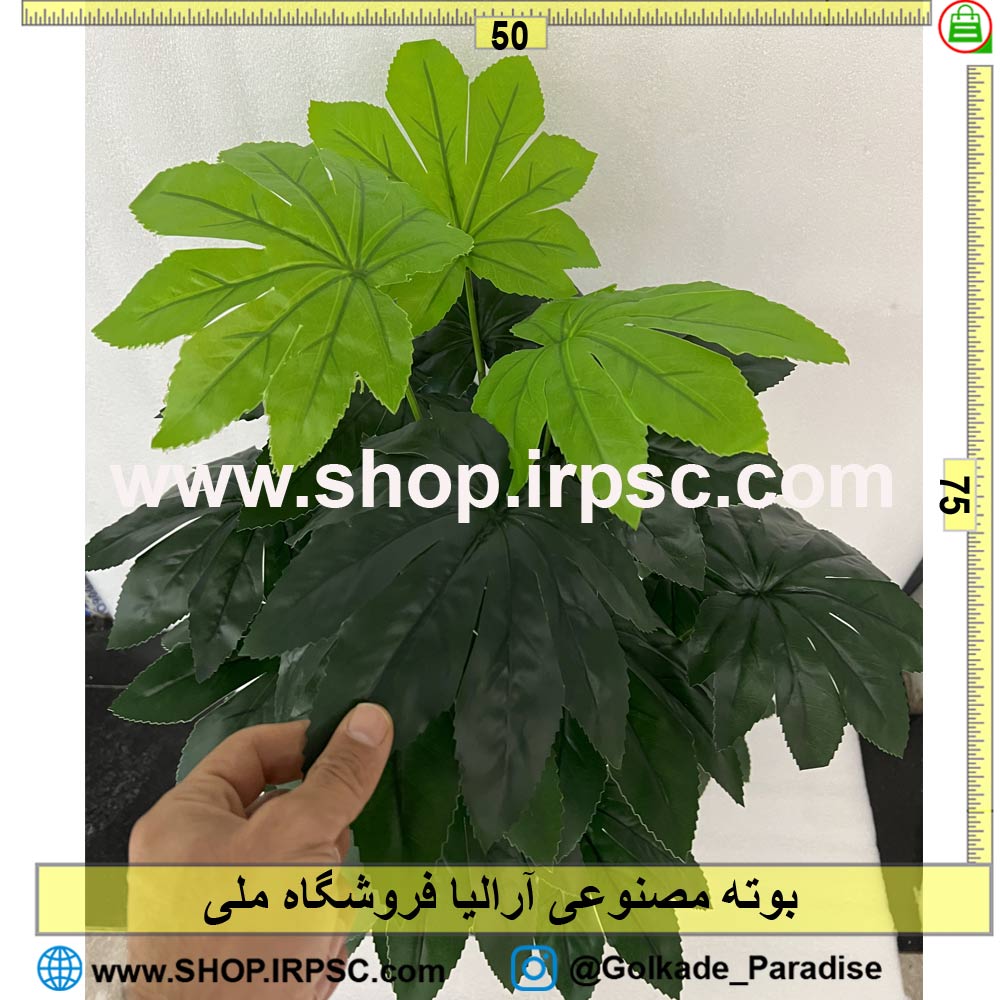 عکس بوته مصنوعی آرالیا کدIRPSC102 