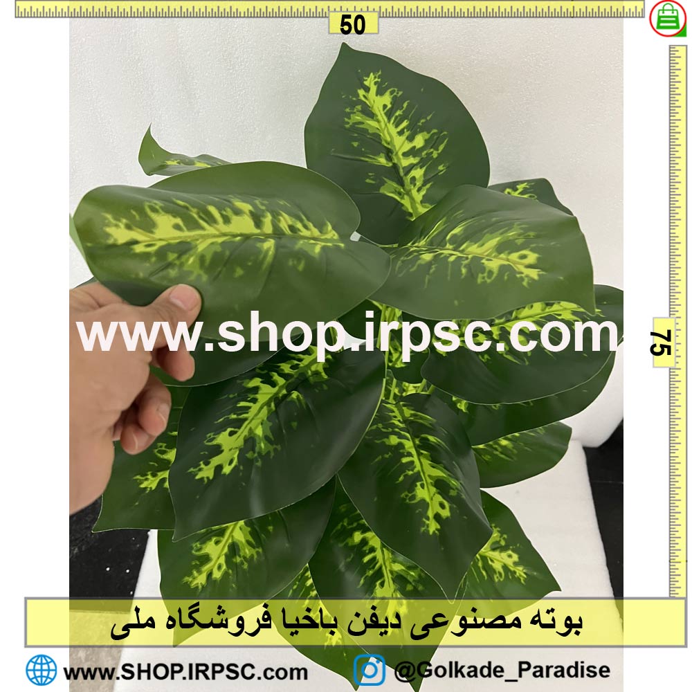 عکس بوته مصنوعی دیفن باخیا کدIRPSC105