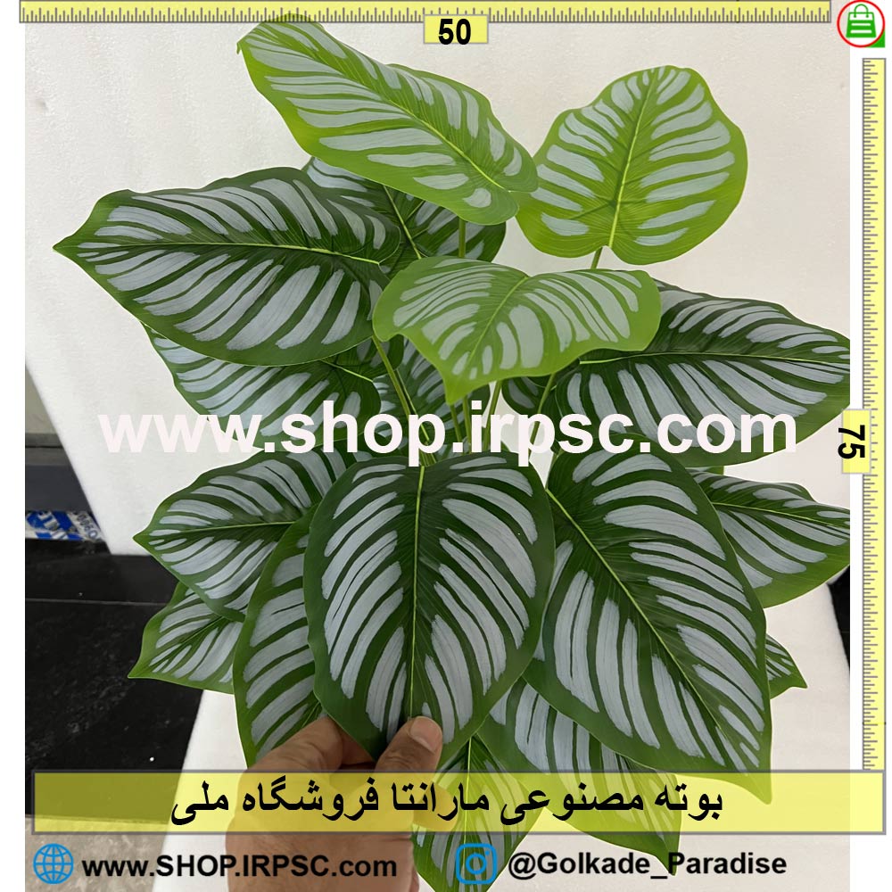 خرید بوته مصنوعی مارانتا کدIRPSC101