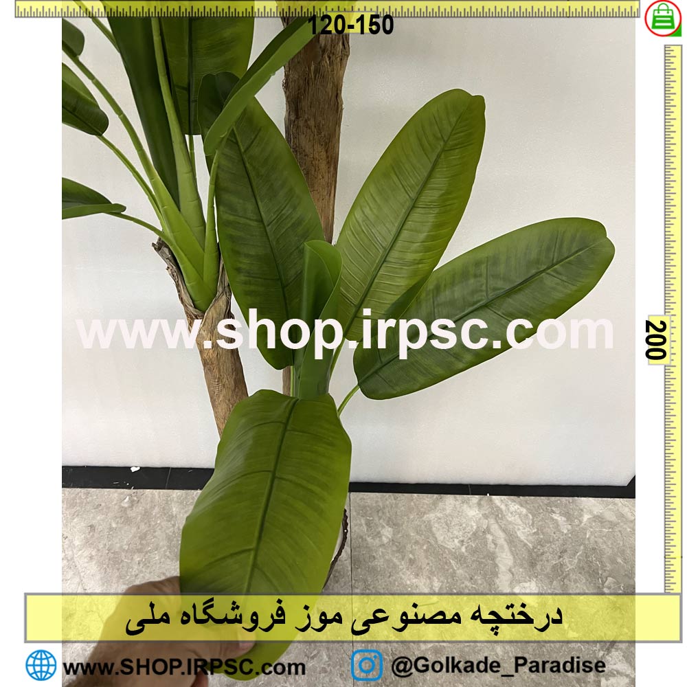 عکس درختچه مصنوعی موز کدIRPSC122 