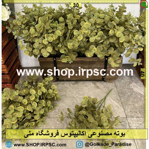 بوته مصنوعی اکالیپتوس کدIRPSC128